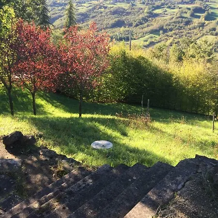 Capannina Vesale