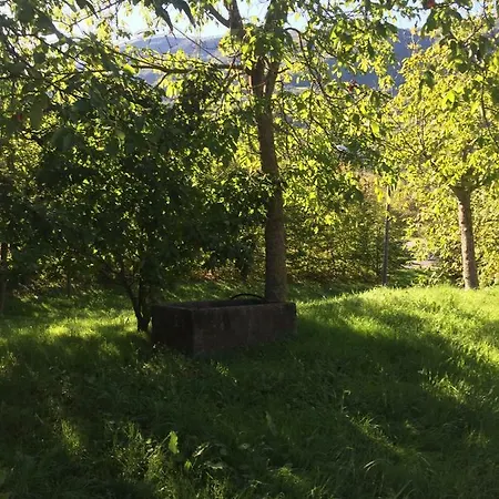 Capannina Vesale * Sestola