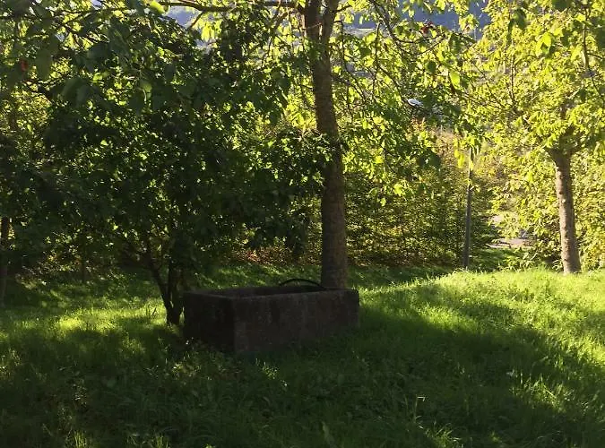 Capannina Vesale * Sestola